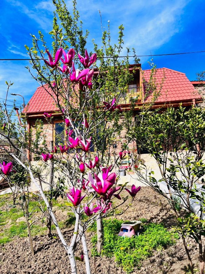 Sunshine House Villa Kutaisi Exterior photo